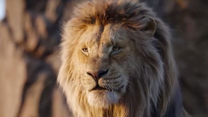 ഗുജറാത്തില് വെളിക്കിരിക്കാന് പോയ 55കാരനെ സിംഹം കടിച്ചു കൊന്നു