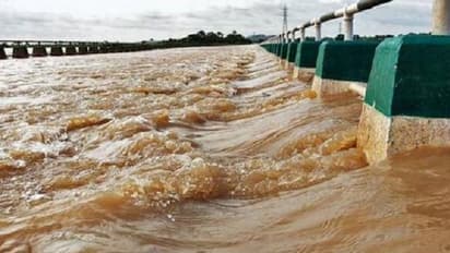 ಶಿವಮೊಗ್ಗ: ಅಪಾಯಮಟ್ಟಮೀರಿ ಹರಿಯುತ್ತಿರುವ ನದಿಗಳು