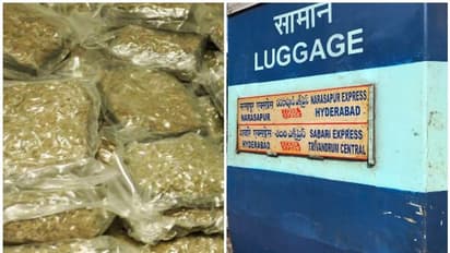 വനിതാ കമ്പാര്ട്ട്മെന്റിൽ കഞ്ചാവ്; ആര്പിഎഫ് പിടിച്ചത് 25 കിലോ