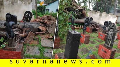 ಶಿವಮೊಗ್ಗ: ಮರಬಿದ್ದು ಶಿವಪ್ಪ ನಾಯಕ ಅರಮನೆ ಸ್ಮಾರಕಕ್ಕೆ ಧಕ್ಕೆ