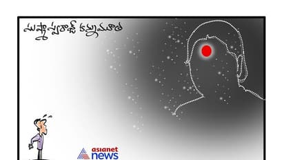 కార్టూన్ పంచ్