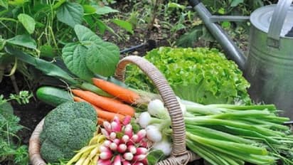 ತುಮಕೂರು: ಎಲ್ಲಾ ಶಾಲೆಗಳಲ್ಲೂ ಕೈತೋಟ ಕಡ್ಡಾಯ