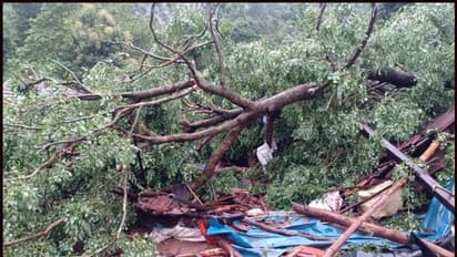 അട്ടപ്പാടിയിൽ വീടിന് മുകളിലേക്ക് മരം വീണ് ഒരാള് മരിച്ചു