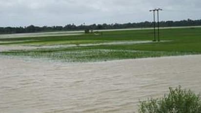 ಅವೈಜ್ಞಾನಿಕ ಕಾಮಗಾರಿ: ಕೃಷಿ ಭೂಮಿ ಜಲಾವೃತ