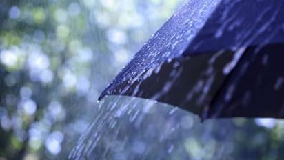 সক্রিয় মৌসুমী বায়ু, সঙ্গে নিম্নচাপ! দক্ষিণবঙ্গে ভারী বৃষ্টির পূর্বাভাস