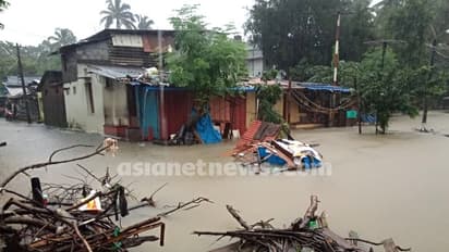 മഴക്കാലത്ത് വരാം രോഗങ്ങള്; പ്രാണികളെ തുരത്താന് ചില വഴികള്...