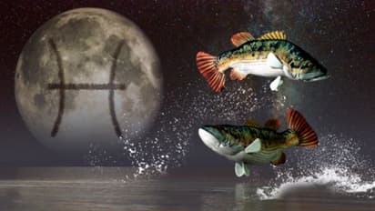 জুন মাস কেমন প্রভাব ফেলবে মীন রাশির উপর, দেখে নিন