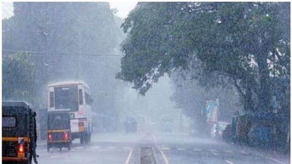 Gujarat rains: 19 killed including 16 in building, wall collapses