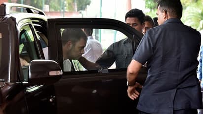 വയനാടിന് ആശ്വാസമേകാന് രാഹുല്; കളക്ട്രേറ്റ് കേന്ദ്രീകരിച്ച് പ്രവർത്തിക്കും