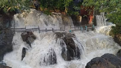 Karnataka rains: River Cauvery likely to cross highest flood level on August 7 evening, says CWC