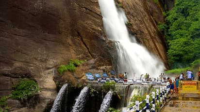 குற்றாலத்தில் குளு,குளு சீசன்.. அருவிகளில் கொட்டும் தண்ணீர்- குளிக்க தடை தொடர்கிறதா.? லேட்டஸ்ட் அப்டேட் என்ன.?