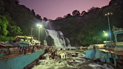 தாமதமானாலும் களைகட்டியது சீசன் ! குற்றாலத்தில் குதூகலிக்கும் சுற்றுலாப்பயணிகள் !!