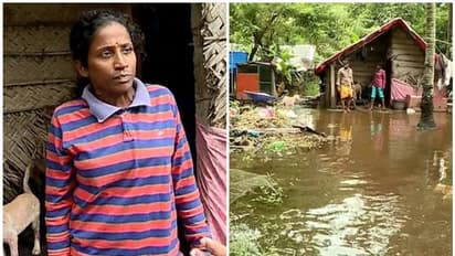 'ക്യാമ്പില്‍ പോയാല്‍ നായ്‍ക്കള്‍ക്ക് ആര് ഭക്ഷണം നല്‍കും'; സുനിത കൂട്ടിരിക്കുന്നത് നാൽപ്പതോളം നായ്‍ക്കള്‍ക്ക്