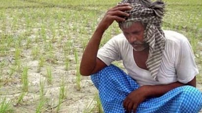 ಕೊಪ್ಪಳ: ಶಾಲಾ ಆವರಣದಲ್ಲಿ ಆಣೆವಾರಿ, ಸಾವಿರಕ್ಕೂ ಅಧಿಕ ರೈತರಿಗೆ ದೋಖಾ