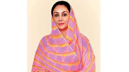 Ayodhya: First Jaipur, now Mewar royals claim to be descendants of Lord Rama