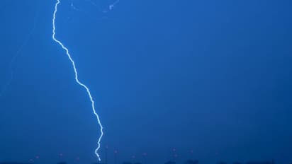 নিভৃতে প্রেম করতে জঙ্গলে যুগল, বাজ পড়ে মর্মান্তিক পরিণতি ঝাড়গ্রামে