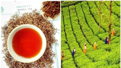 മുക്കാല് ലക്ഷം രൂപയുണ്ടോ? സ്വാദിഷ്ടമായ ഈ ചായ കുടിക്കാം