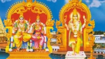 அரியும் சிவனும் ஒன்னு - களைகட்டிய சங்கரன்கோவில் ஆடித்தபசு திருவிழா .