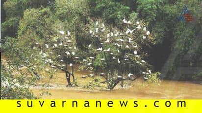 ಸೂತಕದ ಮನೆಯಾದ ಮಂಡಗದ್ದೆ ‘ಹೆರಿಗೆ ಮನೆ’!