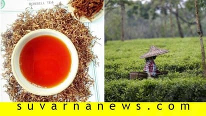 1 ಕಿಲೋ ಟೀ ಪುಡಿಯ ಬೆಲೆ ಭರ್ಜರಿ 75,000!