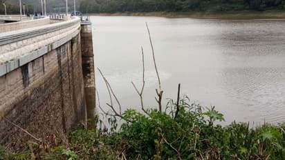 സംസ്ഥാനത്ത് തുടര്ച്ചയായി മഴപെയ്യുമ്പോഴും വെള്ളമില്ലാതെ മൂന്നാറിലെ ജലാശയങ്ങള്