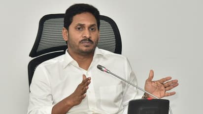 జీఎన్ రావు కమిటీ సీఎంతో భేటీ: రాజధానిపై కీలక ప్రకటన చేసే ఛాన్స్