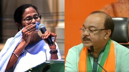 দলে এলেও পদ্ম কাঁটা, শোভনকে মেয়র প্রোজেক্ট করবে না তৃণমূল