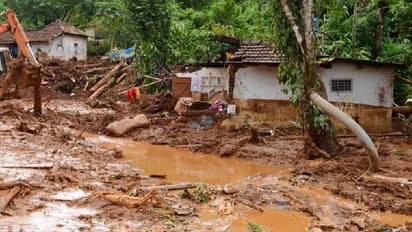 ವಯನಾಡು ಭೂಕುಸಿತ: ಯದ್ವಾತದ್ವಾ ಕಿರುಚಾಡಿ ಹಲವು ಕುಟುಂಬಗಳನ್ನು ಉಳಿಸಿದ ಗಿಳಿ..!