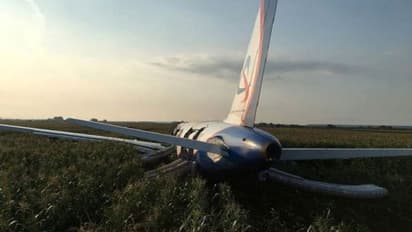 ಜೋಳದ ಹೊಲದಲ್ಲಿ ವಿಮಾನ: ಜೀವ ಉಳಿಸಿದ ಪೈಲೆಟ್ ಗುಣಗಾನ!