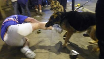 ನಾಯಿ ಕಚ್ಚಿದರೆ ಪರಿಹಾರ ಕೊಡ್ತಾರೆ ಗೊತ್ತಾ..?!