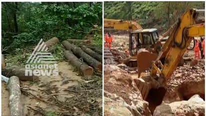 ദുരന്തം പാഠമായില്ല വയനാട്ടിൽ മരം മുറിയും ഭൂമി തരംമാറ്റലും വ്യാപകം