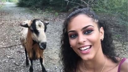ছাগলের সঙ্গে সেলফি! বিপত্তি ঘটালেন মহিলা