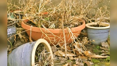 इन 10 कारणों से घर में बढ़ती है नेगेटिविटी