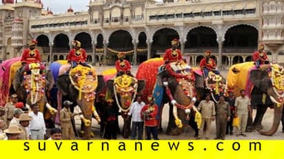 ಮೈಸೂರು ದಸರಾ : ಎರಡನೇ ಗಜಪಡೆ ಕಾಡಿನಿಂದ ನಾಡಿಗೆ