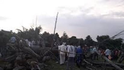 मध्य प्रदेश में पीपल का पेड़ गिरने से 5 लोगों की मौके पर मौत, 15 घायल