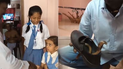 സ്കൂള് വിദ്യാര്ത്ഥിനിയുടെ ഷൂസിനുളളില് മൂര്ഖന് കുഞ്ഞ് - വീഡിയോ