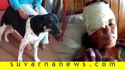 ಒಡತಿ ಮೇಲೆ ಚಿರತೆ ದಾಳಿ: ಹೌಹಾರುವಿರಿ ಸಾಕುನಾಯಿ ರಕ್ಷಿಸಿದ ಪರಿ ಕೇಳಿ!