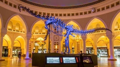 ദുബായിൽ ദിനോസറിന്റെ അസ്ഥികൂടത്തിന്റെ ലേലം തുടങ്ങി; അടിസ്ഥാന വില 27 കോടി രൂപ