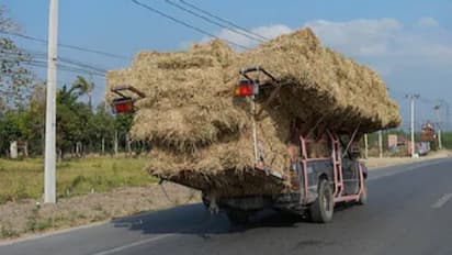ಮಂಡ್ಯ:  ದ.ಕ, ಮಡಿಕೇರಿಗೆ 1 ಲೋಡ್‌ ಮೇವು ರವಾನೆ