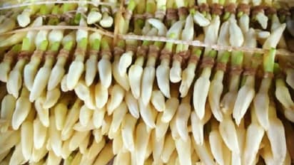 ಉಡುಪಿ: ಅಟ್ಟೆಗೆ 1250 ರು., ದಾಖಲೆ ಬರೆದ ಮಲ್ಲಿಗೆ ಬೆಲೆ