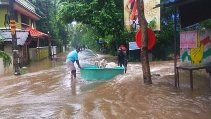 പ്രളയത്തിൽ നിങ്ങളുടെ വിലപ്പെട്ട രേഖകൾ നനഞ്ഞ് കുതിർന്നിരിക്കുവാണോ; വെയിലത്ത് വച്ച് ഉണക്കേണ്ട, പകരം ചെയ്യേണ്ടത്...