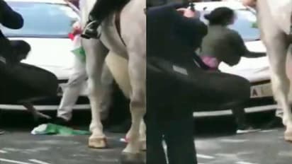 পাকিস্তানিরা পায়ে ঠেলল তেরঙ্গা পতাকা, দেশের সম্মান রক্ষায় এগিয়ে এলেন ভারতীয় মহিলা সাংবাদিক