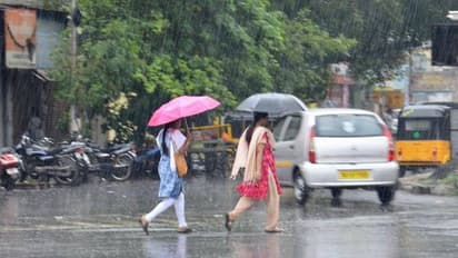 ಚಿಕ್ಕಮಗಳೂರು: ಜಿಲ್ಲೆಯಲ್ಲಿ ಹಲವೆಡೆ ಮಳೆ, ಕೆಲವೆಡೆ ಬಿಸಿಲು