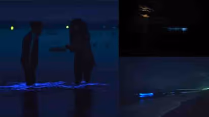 കുമ്പളങ്ങിയിലേത് പൊലെ 'കവരടിച്ച്' ചെന്നൈയിലെ ബീച്ചുകള്‍; കൗതുകമായി ചിത്രങ്ങള്‍