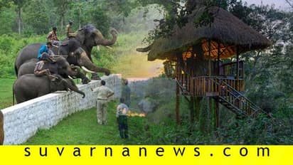 ಇವುಗಳನ್ನು ಮಾಡದೇ ಹೋದ್ರೆ ಕೂರ್ಗ್ ಟ್ರಿಪ್ ಕಂಪ್ಲೀಟೇ ಆಗಲ್ಲ!