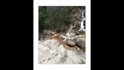 പുത്തുമല; പുനരധിവാസത്തിനായി ഭൂമി ഏറ്റെടുത്തു