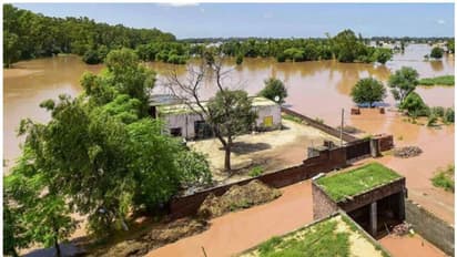 ഉത്തരേന്ത്യയിൽ അഞ്ച് സംസ്ഥാനങ്ങളിൽ കനത്ത മഴ, പ്രളയം: ജനജീവിതം ദുരിതക്കയത്തിൽ