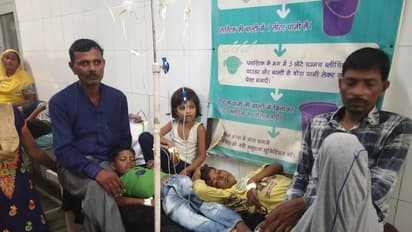 शौहर और बच्चों को जहरीली चाय पिलाकर प्रेमी से साथ फरार हुई बीवी