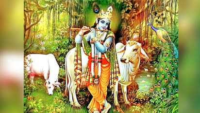 6 स्थान, जहां आज भी है भगवान श्रीकृष्ण से जुड़ी निशानियां और मंदिर