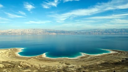 মৃতের তকমা নিয়ে বেঁচে থাকা ১২ মাস, 'ডেড সি'-র রহস্য সত্যিই অবাক করে